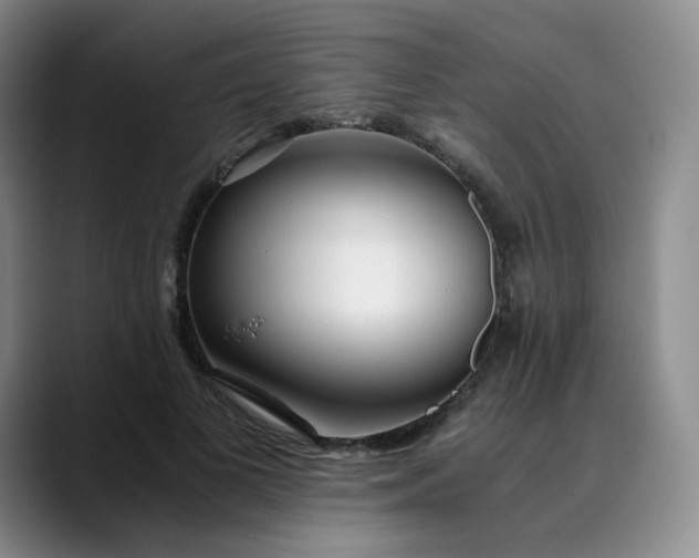 X0000089890693200707121831