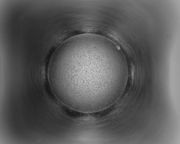 X0000089890696200707121831