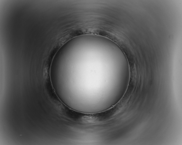 X0000089890699200707121831