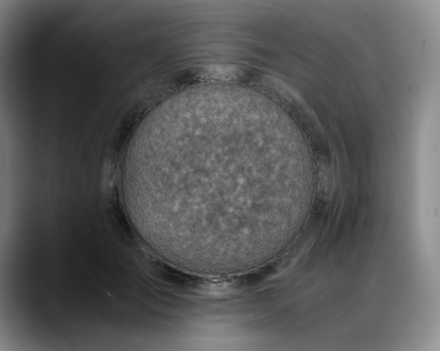 X0000089890701200707121831