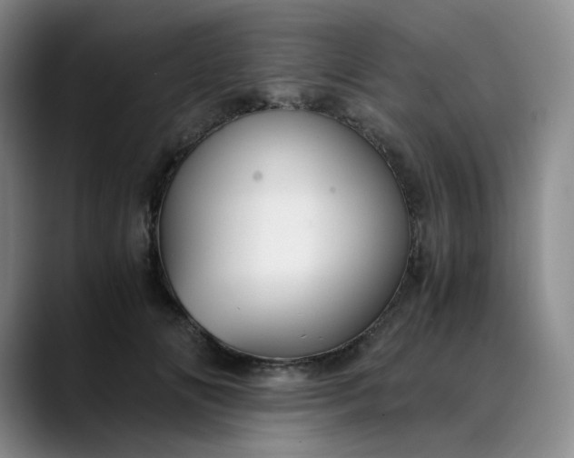 X0000089890702200707121831