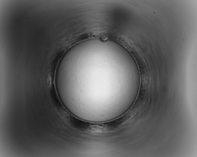 X0000089890703200707121831