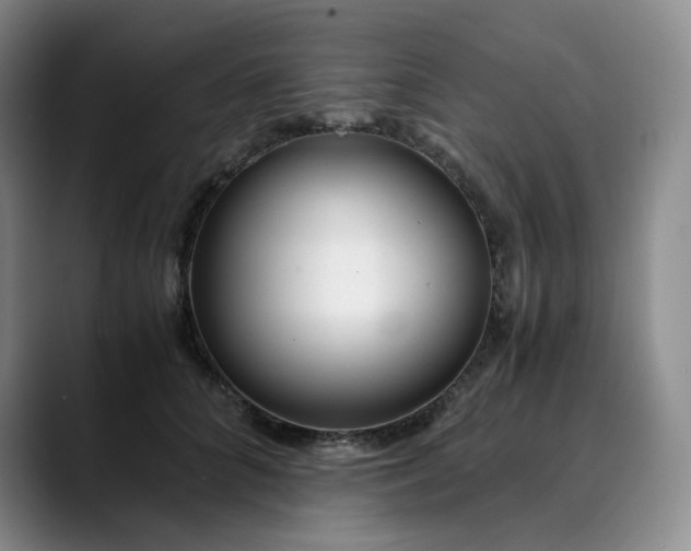 X0000089890704200707121831