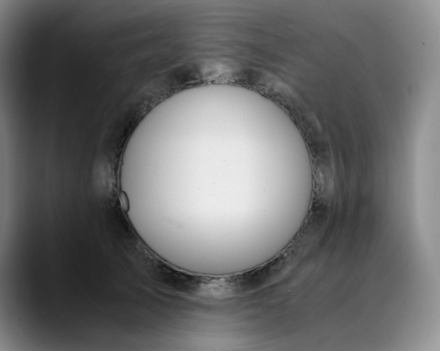 X0000089890705200707121831