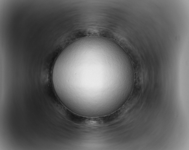 X0000089890706200707121831