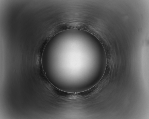 X0000089890708200707121831