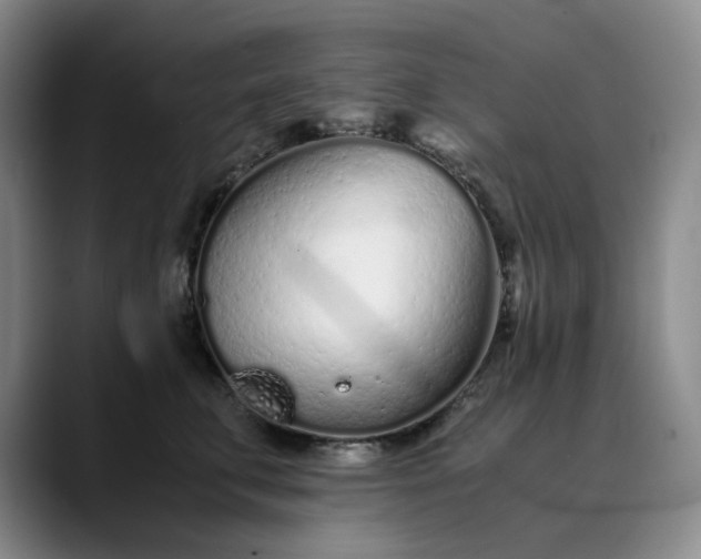 X0000089890711200707121831