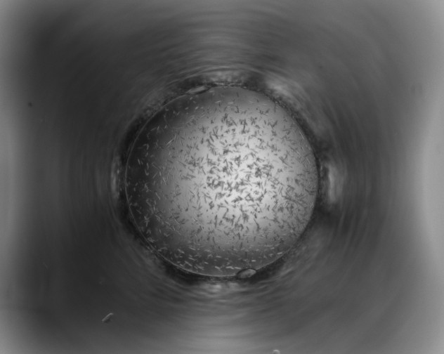 X0000089890712200707121831