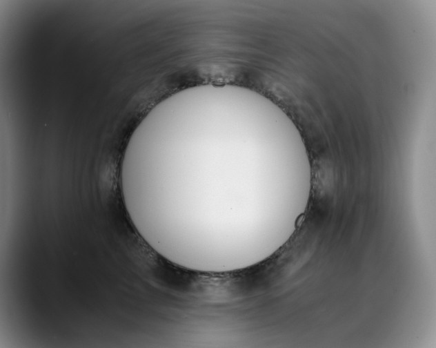 X0000089890713200707121831