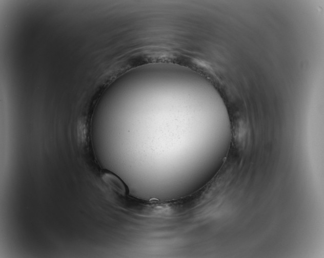 X0000089890715200707121831