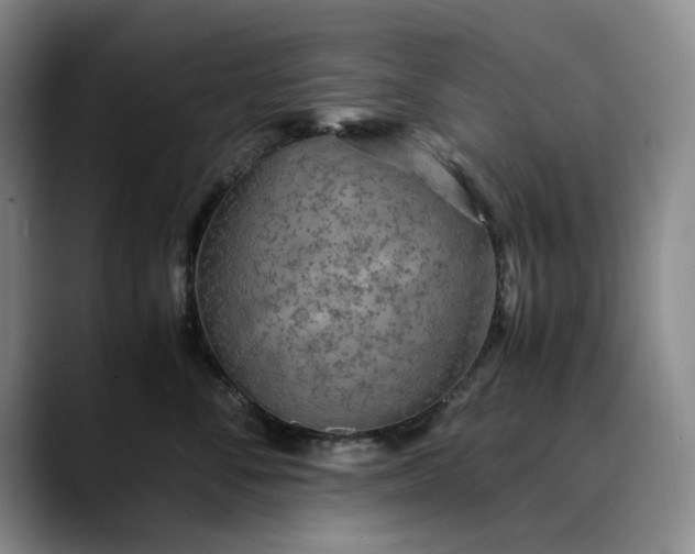 X0000089890716200707121831