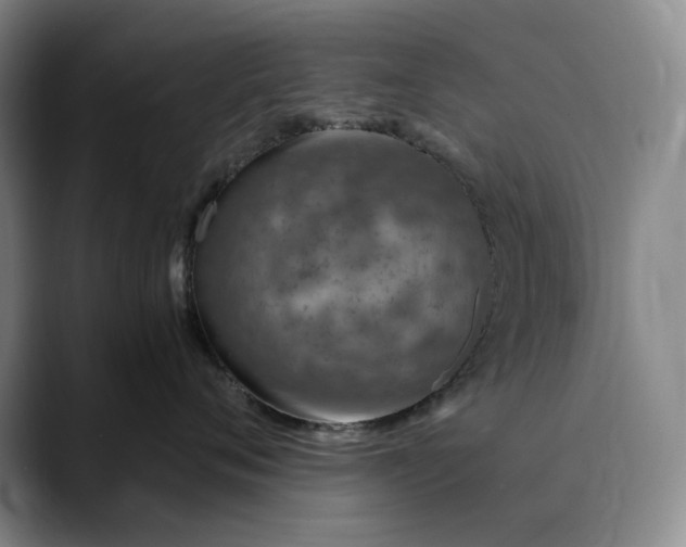 X0000089890720200707121831