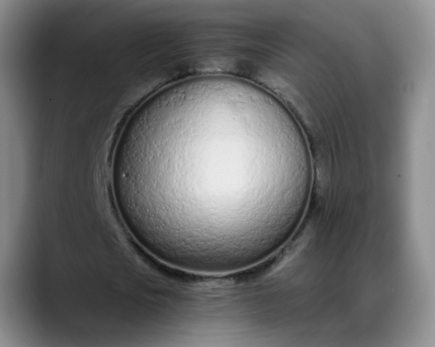 X0000089890721200707121830