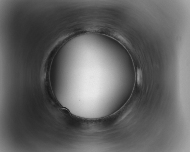 X0000089890723200707121830