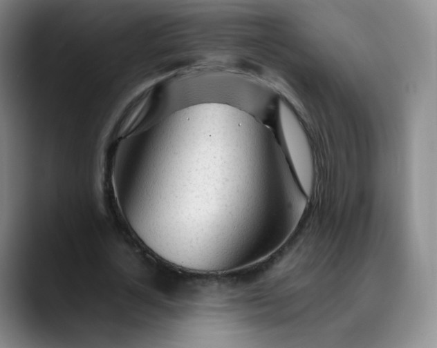 X0000089890724200707121830