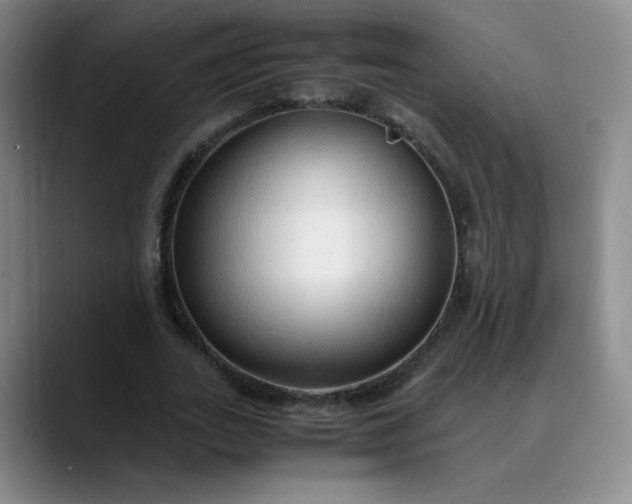 X0000089890727200707121830