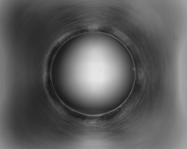 X0000089890728200707121830