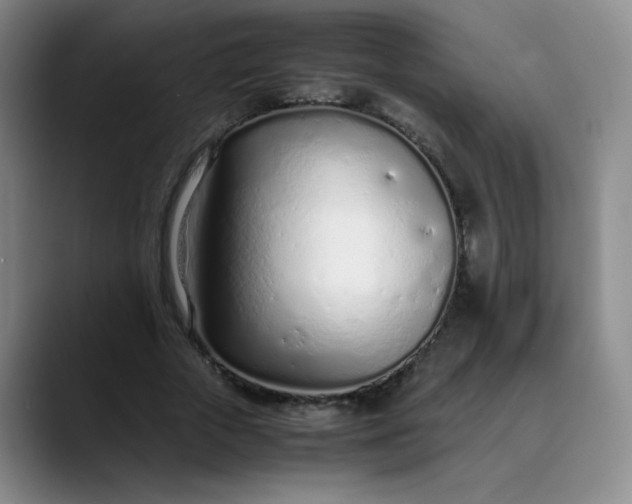 X0000089890729200707121830