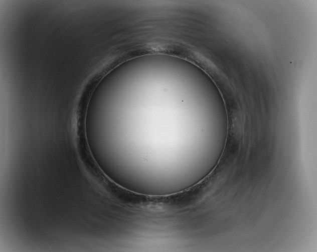 X0000089890730200707121830