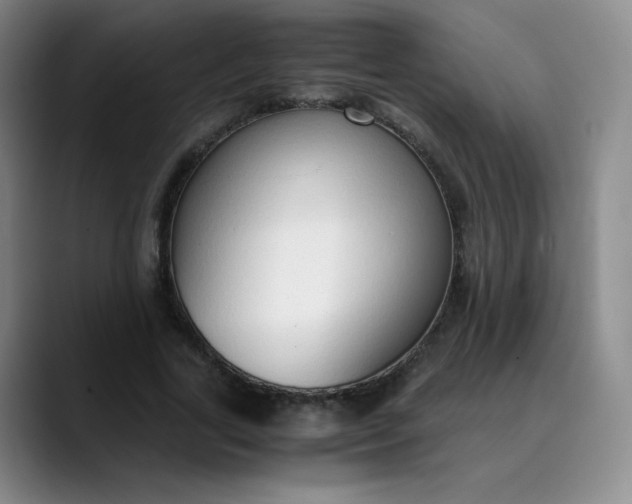 X0000089890731200707121830