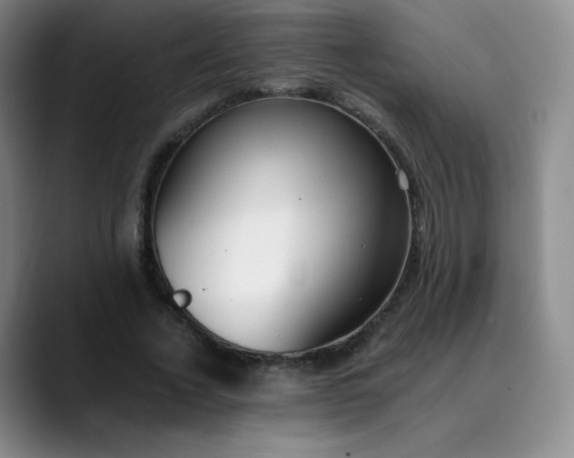 X0000089890732200707121830