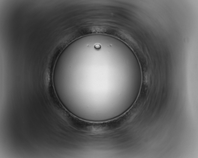 X0000089890733200707121831