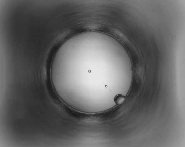 X0000089890734200707121831