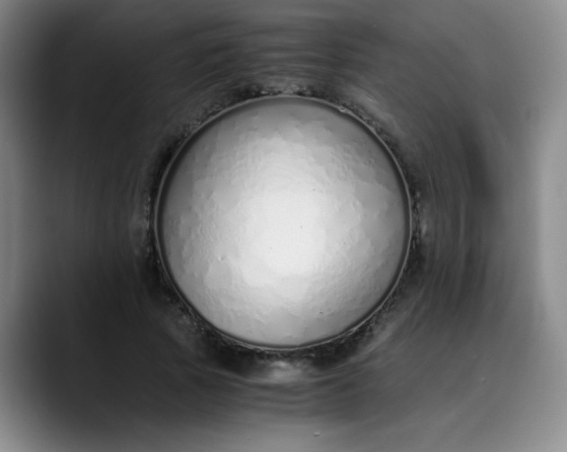 X0000089890737200707121831