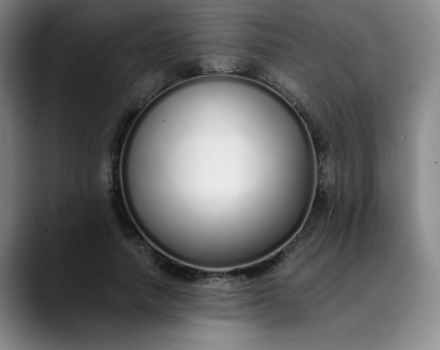 X0000089890738200707121831