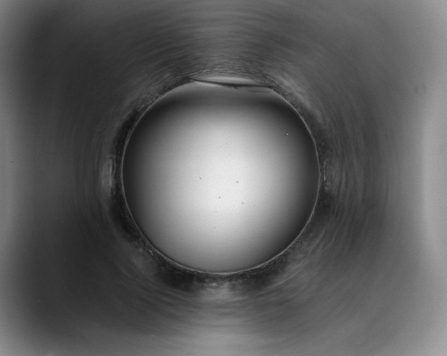 X0000089890740200707121831