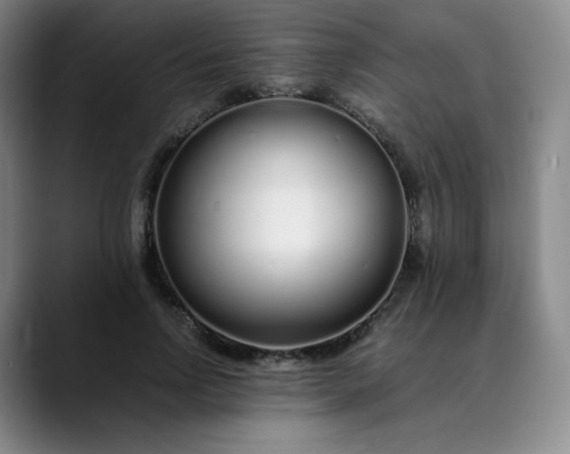 X0000089890742200707121831