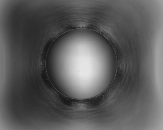 X0000089890743200707121831