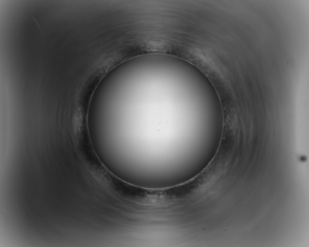 X0000089890744200707121831