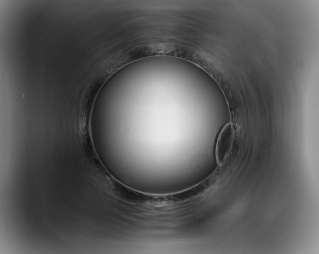 X0000089890745200707121831