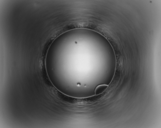 X0000089890746200707121831