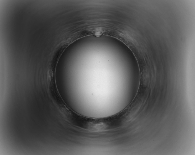 X0000089890747200707121831