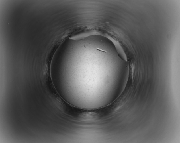 X0000089890748200707121831