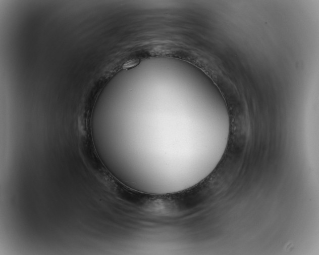 X0000089890755200707121831