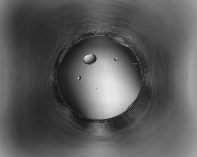 X0000089890756200707121831