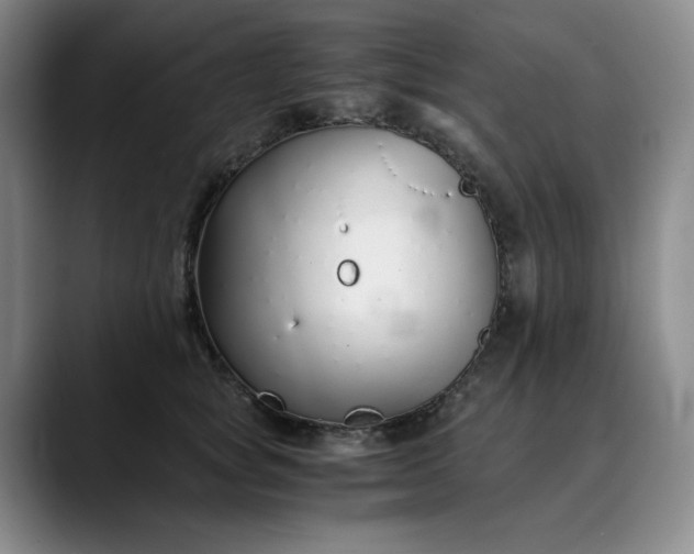 X0000089890757200707121831