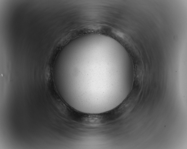 X0000089890758200707121831