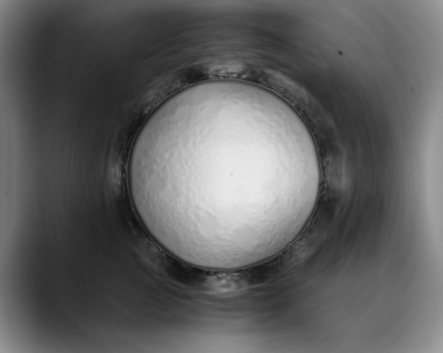 X0000089890761200707121831