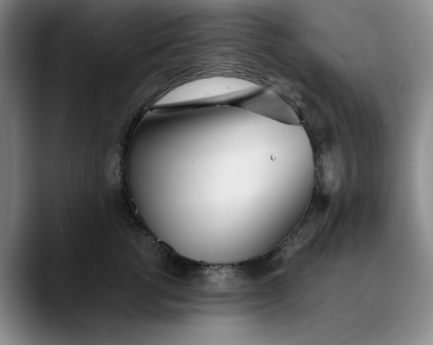 X0000089890762200707121831