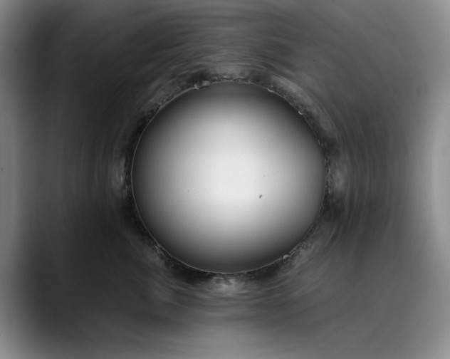 X0000089890764200707121831