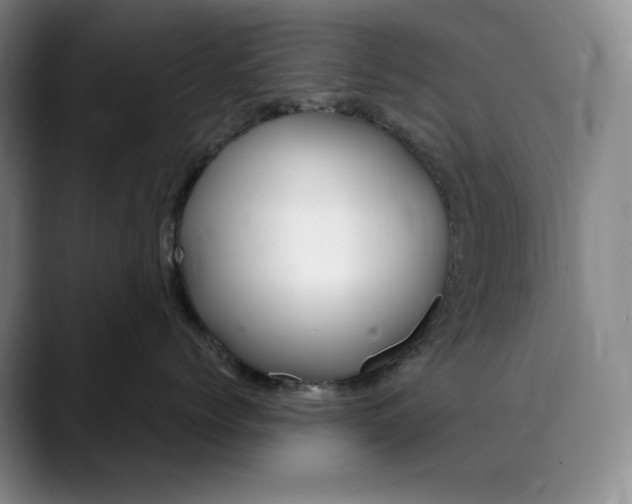 X0000089890768200707121831