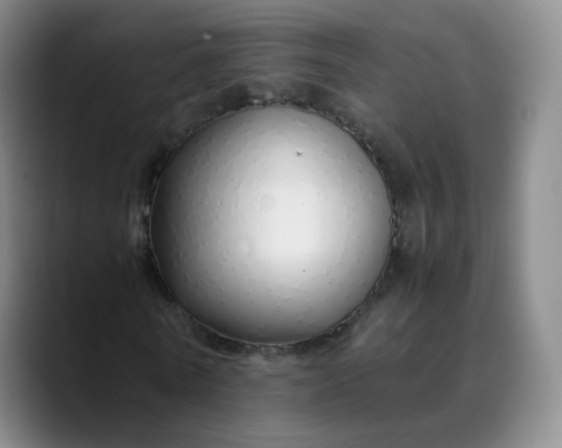 X0000089890770200707121830