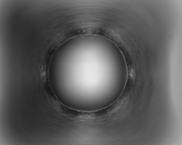 X0000089890771200707121830