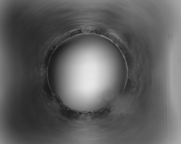 X0000089890773200707121830