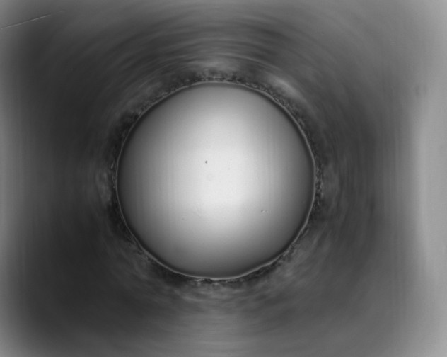 X0000089890774200707121830