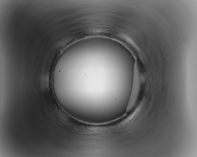 X0000089890777200707121830